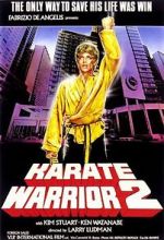 Watch Karate Warrior 2 Myflixer