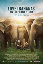 Watch Love & Bananas Myflixer