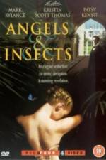 Watch Angels and Insects Myflixer