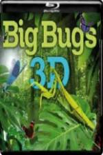 Watch Big Bugs in 3D Myflixer