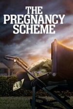 Watch The Pregnancy Scheme Myflixer