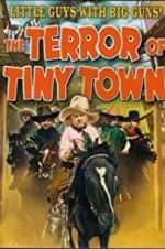 Watch The Terror of Tiny Town Myflixer