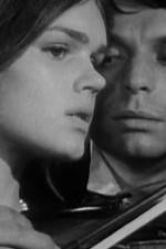 Watch Pavoncello Myflixer