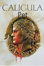 Watch Caligula's Pet Myflixer