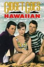 Watch Gidget Goes Hawaiian Myflixer