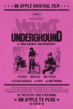 Watch The Velvet Underground Myflixer