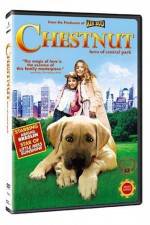 Watch Chestnut - Hero of Central Park Myflixer