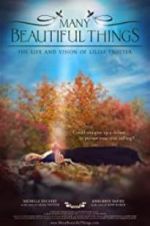 Watch Many Beautiful Things Myflixer