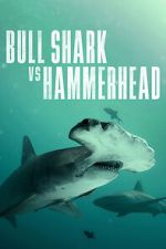 Watch Bull Shark vs Hammerhead Myflixer