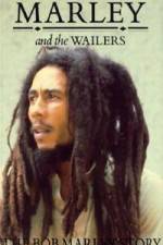 Watch Caribbean Nights Myflixer