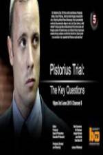 Watch Pistorius Trial: The Key Questions Myflixer