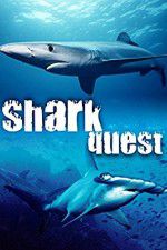 Watch Shark Quest Myflixer