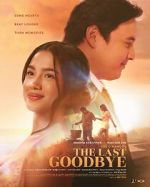 Watch The Last Goodbye Myflixer