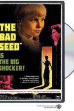 Watch The Bad Seed Myflixer