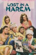 Watch Lost in a Harem Myflixer