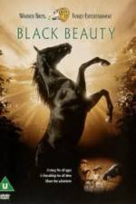 Watch Black Beauty Myflixer