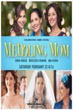 Watch Meddling Mom Myflixer
