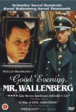 Watch Good Evening, Mr. Wallenberg Myflixer