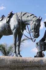 Watch War Horse: The Real Story Myflixer