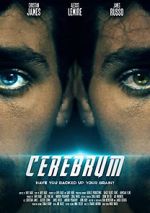 Watch Cerebrum Myflixer