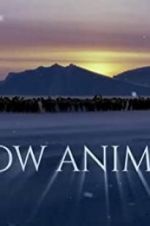 Watch Snow Animals Myflixer