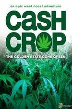 Watch Cash Crop Myflixer