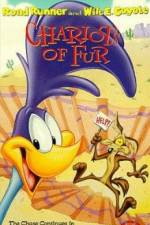 Watch Ready Woolen and Able Myflixer