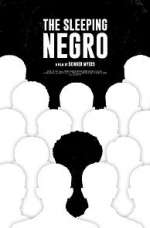 Watch The Sleeping Negro Myflixer