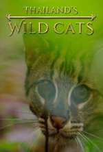 Watch Thailand's Wild Cats Myflixer