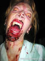 Watch Dracula\'s Sorority Sisters Myflixer