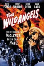 Watch The Wild Angels Myflixer
