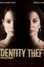 Watch Identity Theft Myflixer