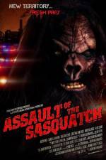 Watch Sasquatch Assault Myflixer