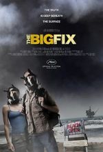 Watch The Big Fix Myflixer