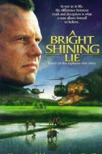Watch A Bright Shining Lie Myflixer