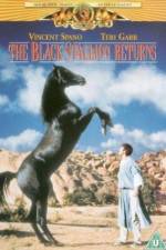 Watch The Black Stallion Returns Myflixer