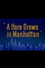 Watch A Hare Grows in Manhattan Myflixer