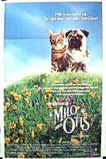 Watch Milo & Otis Myflixer