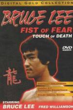 Watch Fist of Fear Touch of Death Myflixer