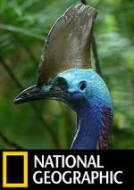 Watch Dino Bird Myflixer