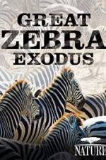 Watch Nature: Great Zebra Exodus Myflixer
