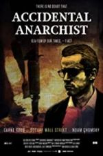 Watch Accidental Anarchist Myflixer