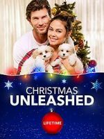 Watch A Doggone Christmas Myflixer
