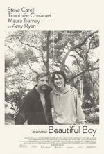 Watch Beautiful Boy Myflixer