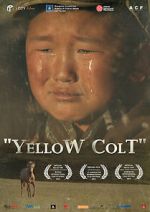 Watch Yellow Colt Myflixer
