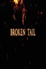 Watch A Tiger Called Broken Tail Myflixer
