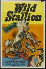 Watch Wild Stallion Myflixer