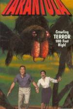 Watch Tarantula Myflixer