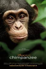 Watch Chimpanzee Myflixer