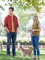 Watch Hometown Hero Myflixer